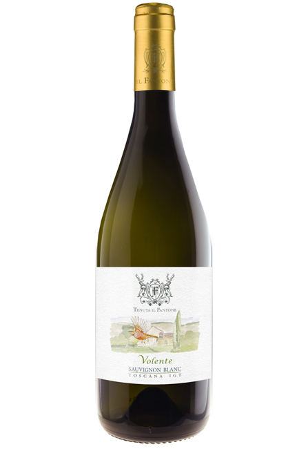 Volente, Sauvignon Blanc 100%, Toscano Bianco IGT, Barrique 18 mesi 2018